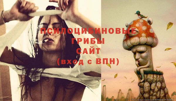 соль ск Бронницы