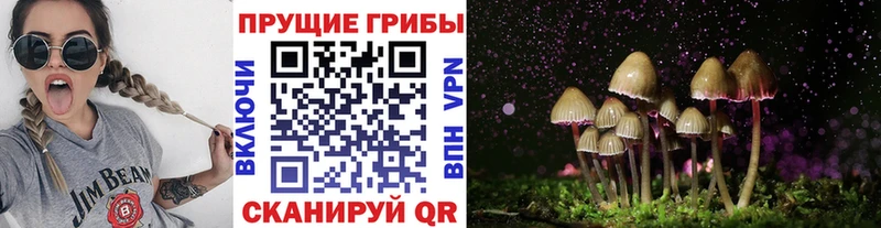 где купить наркотик  MEGA ссылка  Псилоцибиновые грибы MAGIC MUSHROOMS  Нытва 